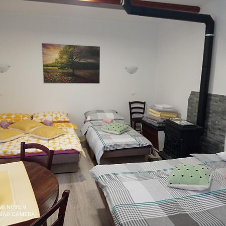 Studio Apartman Sonja Otočac 外观 照片