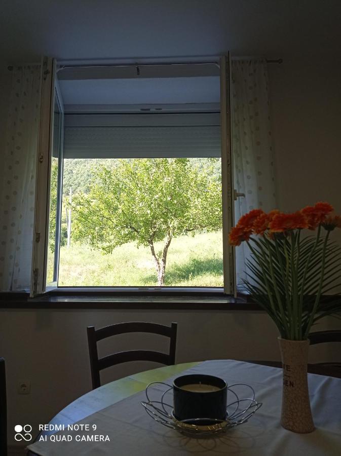 Studio Apartman Sonja Otočac 外观 照片