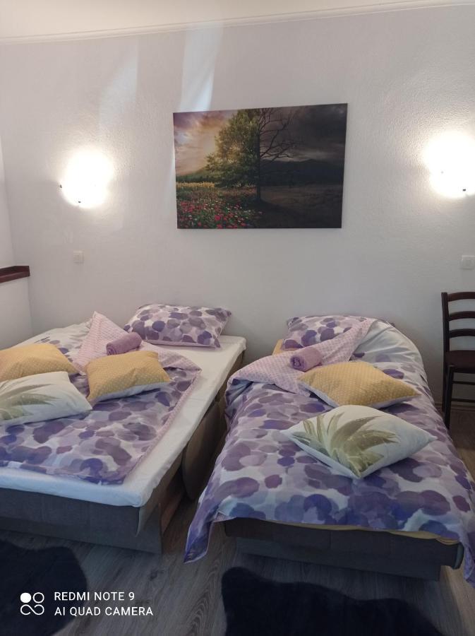 Studio Apartman Sonja Otočac 外观 照片